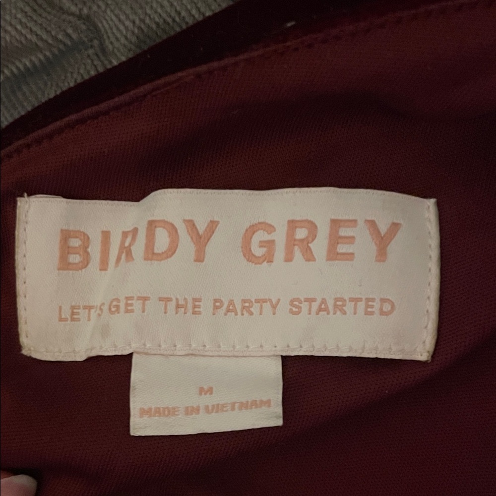 Birdy Grey One-Shoulder Velvet Dress in Cabernet - Picture 2 of 3